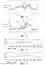 Fig. 05 - System and methods to efficiently measure stereoscopic disparity and to generate related mismatch images