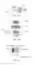 Fig. 20 - Methods, systems, and computer-readable storage media for identifying a rough depth map in a scene and for determining a stereo-base distance for three-dimensional (3D) content creation