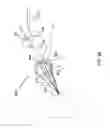Fig. 10 - Single-lens 3-D imaging device using polarization coded aperture masks combined with polarization sensitive sensor