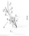 Fig. 12 - Single-lens 3-D imaging device using polarization coded aperture masks combined with polarization sensitive sensor