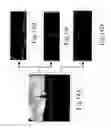 Fig. 16 - Image-based barrier detection and warning system and method thereof