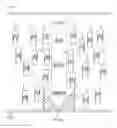 Fig. 01 - Method and Apparatus for Yoga Class Imaging and Streaming