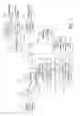 Fig. 02 - Image pickup apparatus having image pickup element that includes pixels used as both focus detection pixels and image pickup pixels