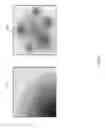 Fig. 14 - Method and system for digital noise reduction of scaled compressed video pictures