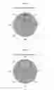 Fig. 10 - Surface light source device and LCD unit