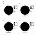 Fig. 11 - Liquid crystal display device