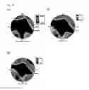 Fig. 18 - Liquid crystal display device