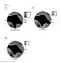 Fig. 27 - Liquid crystal display device
