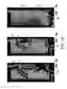 Fig. 12 - Pixel structure