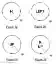 Fig. 04 - Contact lens with visual indicator
