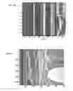 Fig. 03 - Automatic calibration systems and methods of use