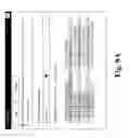 Fig. 18 - Dynamic printing system, apparatus and method