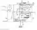 Fig. 01 - Image forming apparatus, controlling method for same, and storage medium