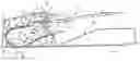 Fig. 01 - Image reader, image forming apparatus, and method of correcting output values