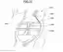 Fig. 31 - Optical scanning device