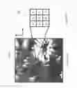 Fig. 19 - PIXELATED OPTICAL FILTER AND METHOD FOR MANUFACTURING THEREOF