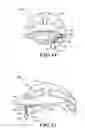 Fig. 13 - HEADWEAR COMPRISING REARVIEW MIRRORS