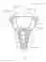 Fig. 07 - COVER MEMBER MOUNTING DEVICE, BASE-ATTACHED LAMP, AND LIGHTING FIXTURE