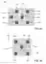 Fig. 09 - Optical element