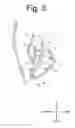 Fig. 04 - Vehicle light