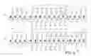 Fig. 04 - Memory array having local source lines