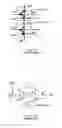 Fig. 02 - Complementary read-only memory (ROM) cell and method for manufacturing the same