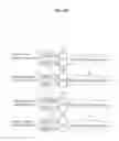 Fig. 13 - Method and apparatus for transmitting multi-user MIMO reference signal in wireless communication system for supporting relay