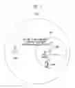 Fig. 08 - METHOD OF RETRANSMITTING AND RECEIVING PACKETS IN HETEROGENEOUS NETWORK ENVIRONMENT