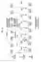 Fig. 09 - METHOD OF RETRANSMITTING AND RECEIVING PACKETS IN HETEROGENEOUS NETWORK ENVIRONMENT
