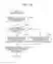 Fig. 12 - Packet Transport Node