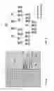 Fig. 05 - Mode dependent scanning of coefficients of a block of video data