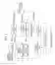 Fig. 02 - Motion estimation apparatus and method