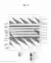 Fig. 10 - Digital broadcasting system and method of processing data