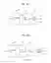 Fig. 16 - Digital broadcasting system and method of processing data