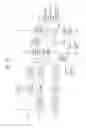 Fig. 26 - Digital broadcasting system and method of processing data