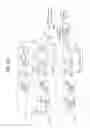 Fig. 27 - Digital broadcasting system and method of processing data