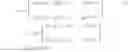 Fig. 05 - MIMO-OFDM Wireless Communication System