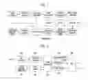 Fig. 02 - Apparatus, method, and system for transmitting and receiving high-speed data in point-to-point fixed wireless communication