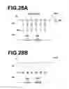 Fig. 17 - RADIOGRAPHIC IMAGE OBTAINMENT METHOD AND RADIOGRAPHIC APPARATUS