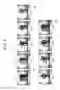 Fig. 05 - Digital watermark embedding apparatus, digital watermark embedding method, and digital watermark detection apparatus