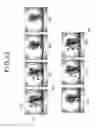 Fig. 12 - Digital watermark embedding apparatus, digital watermark embedding method, and digital watermark detection apparatus