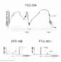 Fig. 15 - Digital watermark embedding apparatus, digital watermark embedding method, and digital watermark detection apparatus