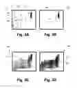 Fig. 05 - Summary view of video objects sharing common attributes