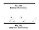 Fig. 10 - Object processing employing movement