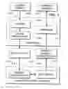 Fig. 06 - Image capture and identification system and process