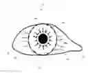 Fig. 01 - System and method for identifying a person with reference to a sclera image