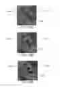 Fig. 30 - Methods and systems for analyzing images of specimens processed by a programmable quantitative assay