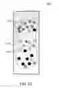 Fig. 37 - Methods and systems for analyzing images of specimens processed by a programmable quantitative assay