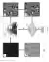 Fig. 04 - System and method for multi-phase segmentation of density images representing porous media