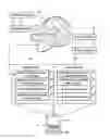 Fig. 01 - Image intensity correction for magnetic resonance imaging